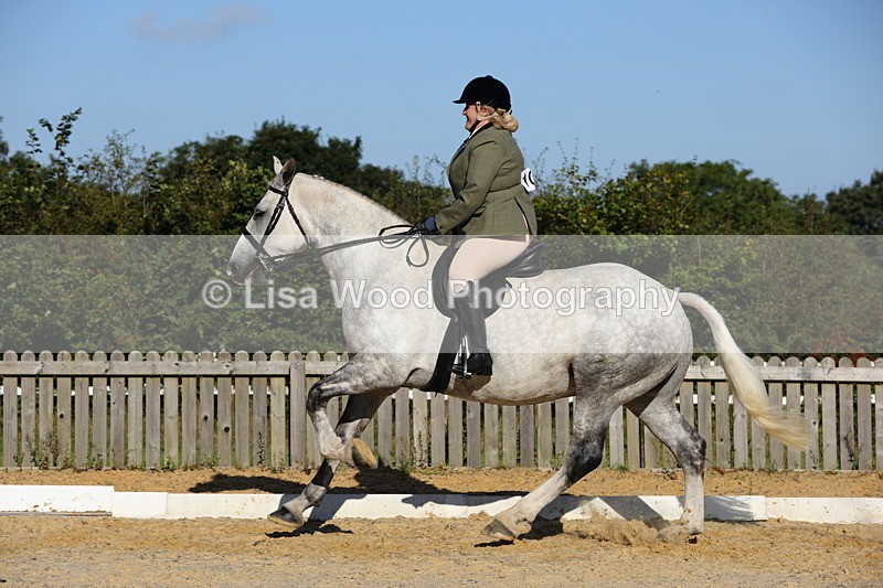 1X9A7596 - Class 7: Novice Ridden Hunter/Hack/Cob/Riding Horse