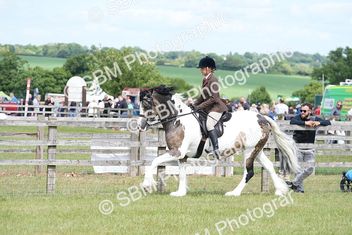 SBM_17170 - Class 107-108 - LIHS BSPS Performance Coloured Horse Pony
