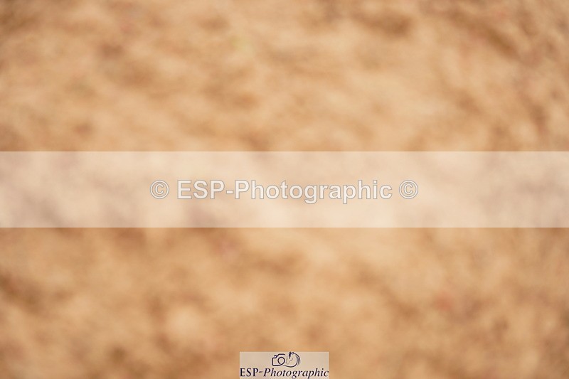 240526A-120522-07946 - Cls 26 Chard Equ 1.05m and 1.10m Grand Prix