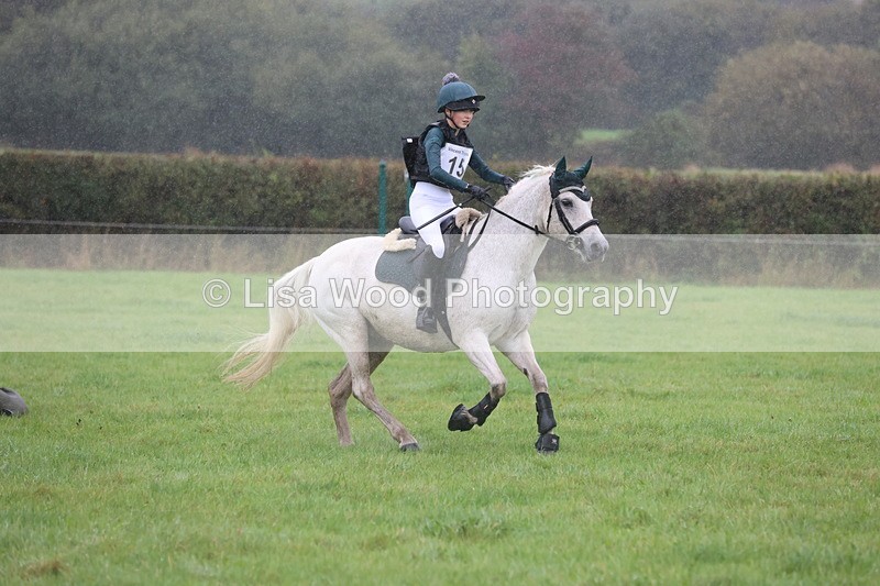 JPP_5077 - Class 1: 65cm : Showjumping