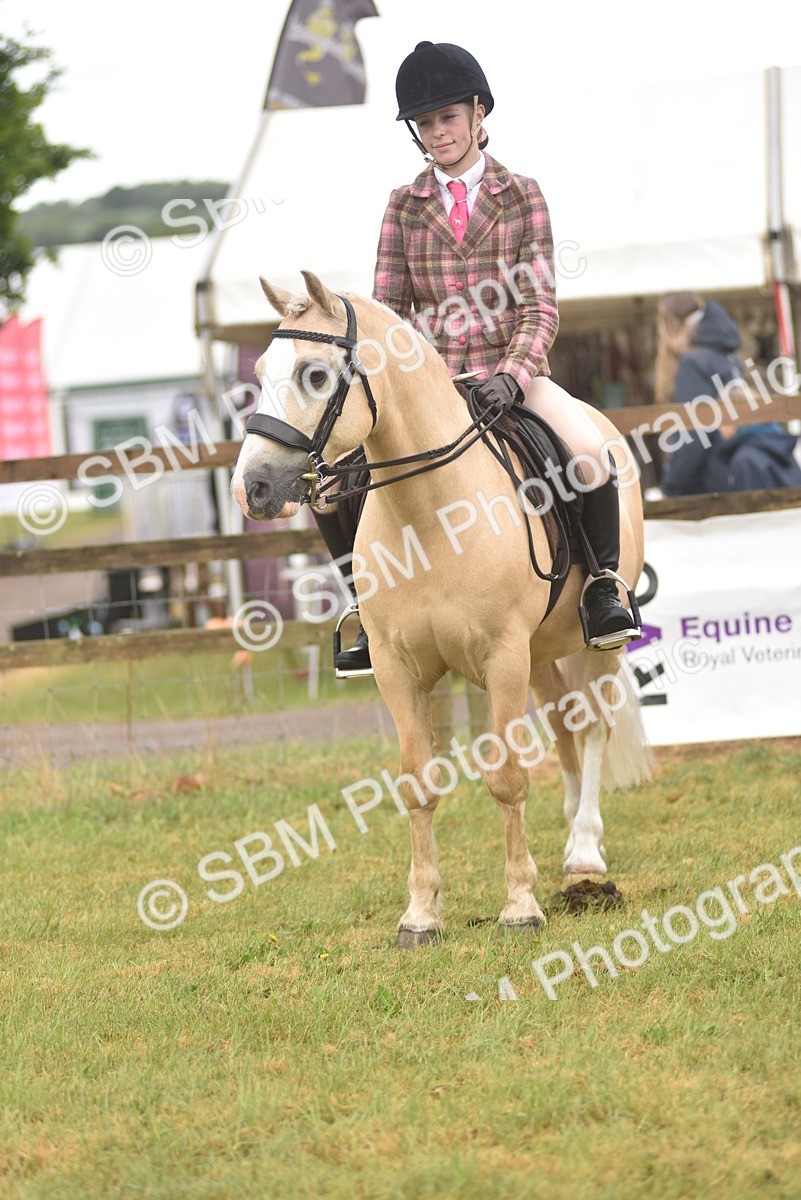 SBM_12042 - Class 110-112 - LIHS BSPS Performance Pones