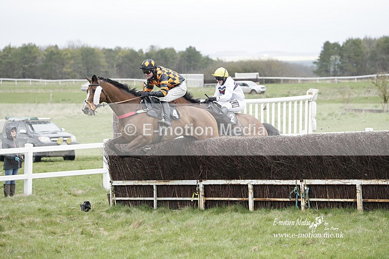PtP 260323 0831 - New Forest Hounds Point-to-Point Larkhill 26/03/23