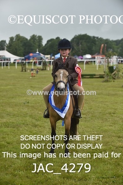 JAC_4279 - WORKING HUNTER CHAMPIONSHIP