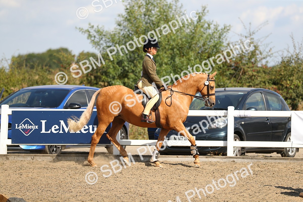 SBM_03317 - Class 45 Clear Round Jumping