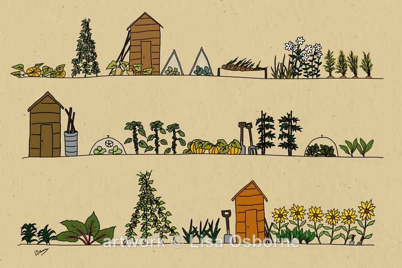 Vegetable Garden - Autumn - DIGITAL ARTWORK