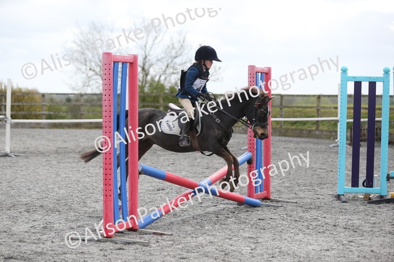 20260412-0571 - Show Jumping