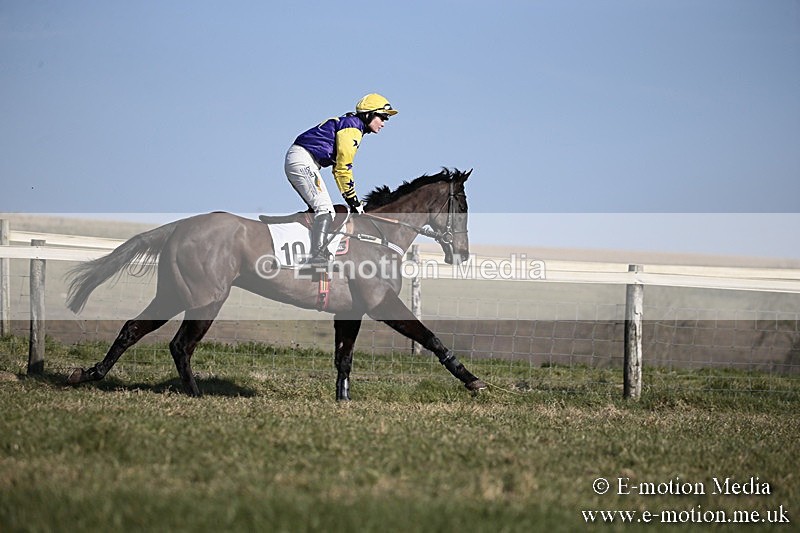 PtP 240218 217 - Vine & Craven Hunt Point-to-Point Barbury racecourse 24/02/18