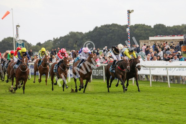 220824-Race 7-Alfa Kellenic-7886 - Race 7 5.20pm British EBF Fillies' Handicap
