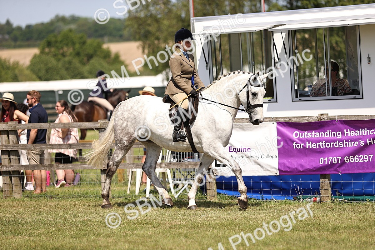 SBM_16210 - Class 79-80 - LIHS BSHA Rising Star Ridden Hunter