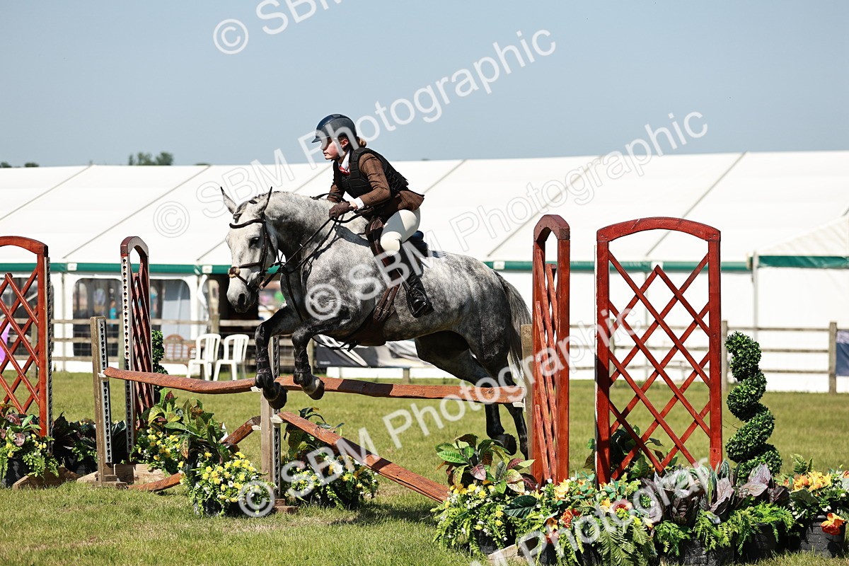 SBM_18377 - Class 112-113 - BSPS LIHS Working Sports Pony