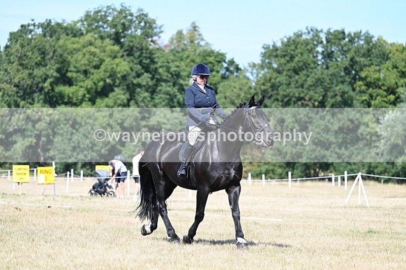 WJ7_9870 - Time 11:03 to 11:28