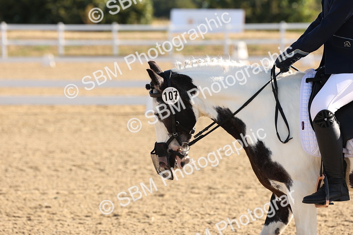 SBM_000017 - Intro 2 Warm Up