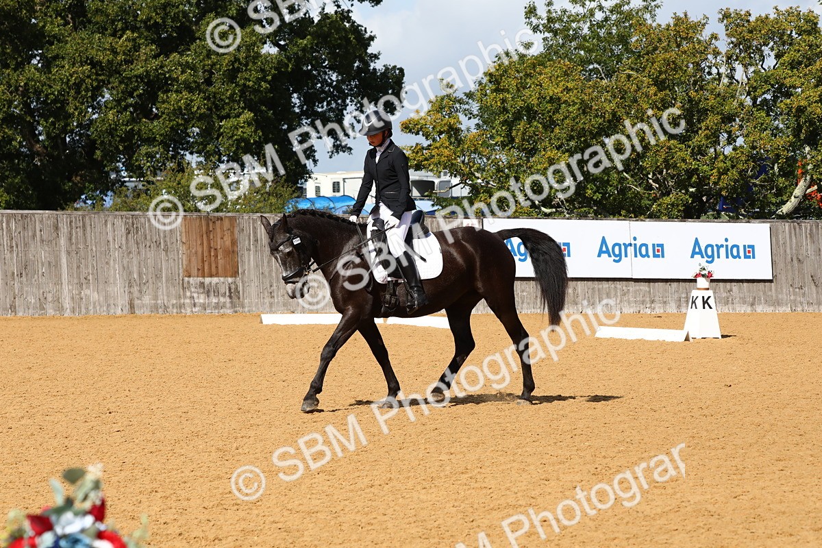 SBM_20807 - D5 - Small Tour Championshop Intro 2