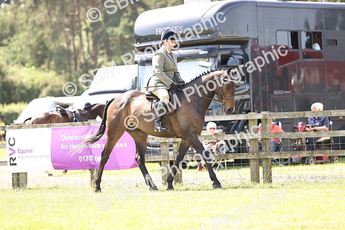 SBM_14824 - Class 78 - LIHS BSHA Open Racehorse & Show Horse
