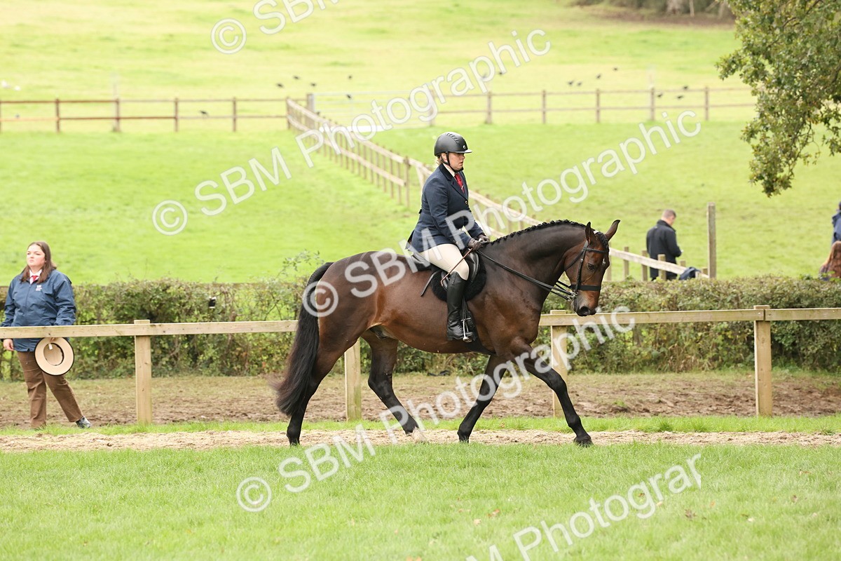 SBM_62997 - S64 - Foreign Breeds Ridden