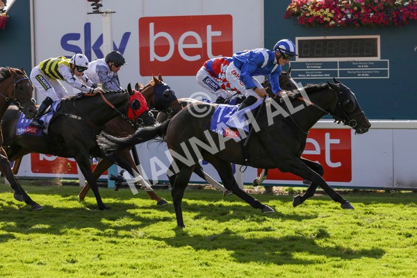240824-Race 5-Elmonjed-9179 - Race 5 4.10pm Sky Bet Constantine Handicap