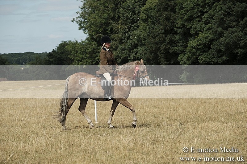 _PJP6110 - Ridden Championship BVRC Show 2018