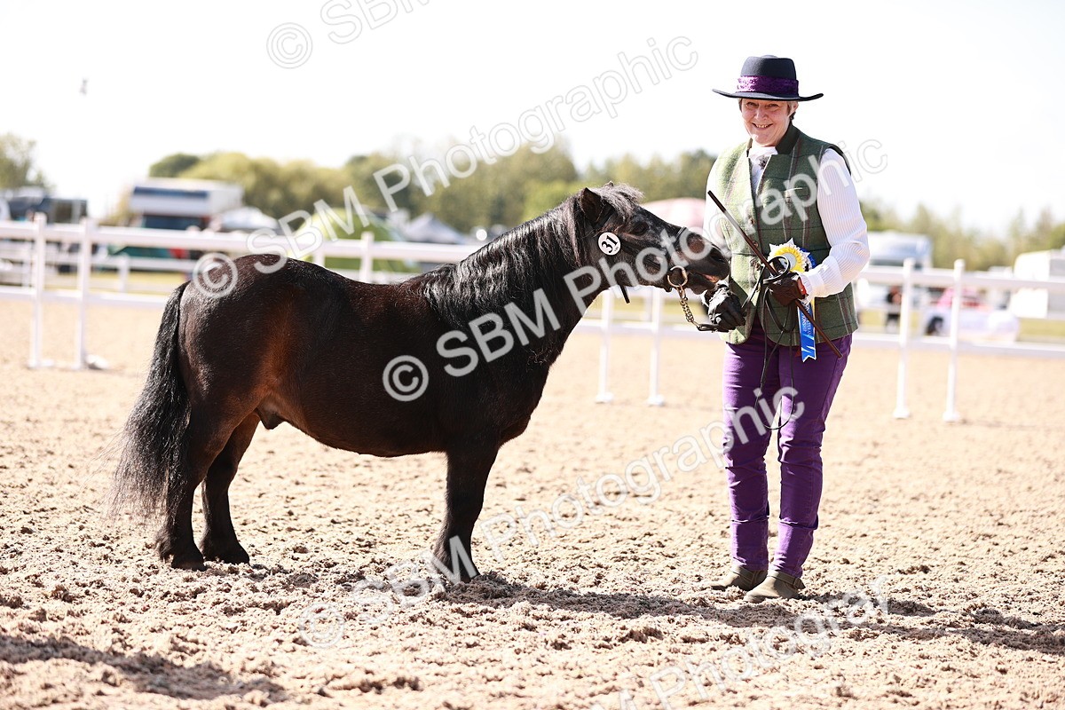 SBM_22834 - Class 705 - IH Combination 65+