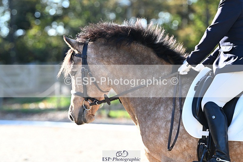 231110-112817-00418 - Cls 2 Prelim 17(a)Q