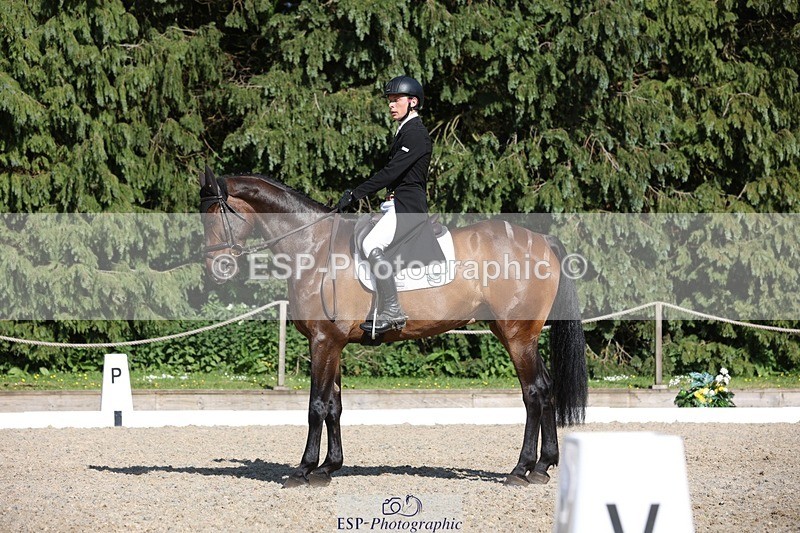 230526-170243-07894 - 174-LANCELOT_BMG-Alfie_Marshall-WEDTrotUp+DR