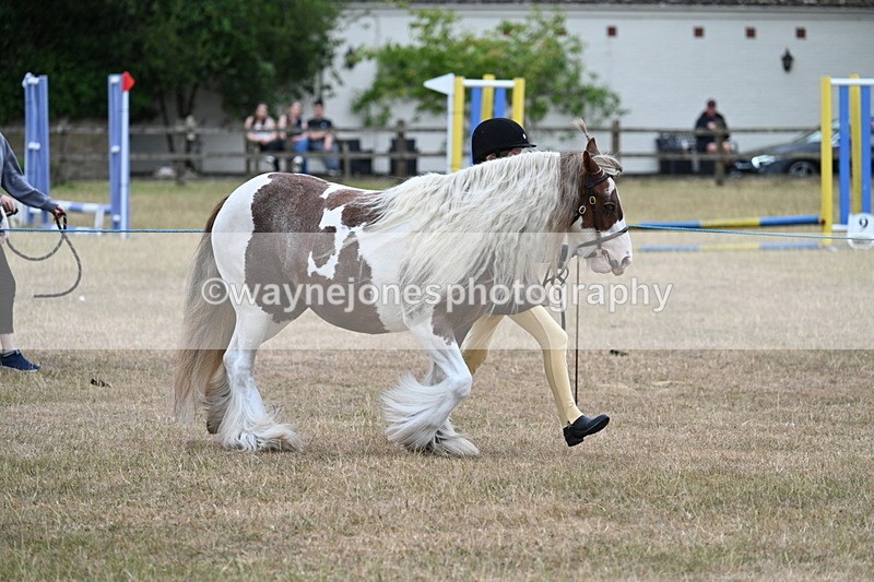 WJ7_8251 - Class 4 Prettiest Mare up to 14.2hh