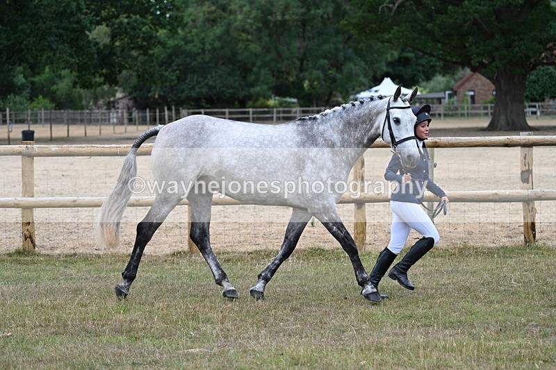 WJ7_8720 - Class 4a Prettiest Mare 14.2hh and over