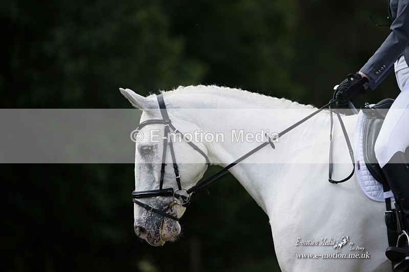 BVRC 120921 346 - Bourne Valley Riding Club UA Dressage & Show Jumping 12/09/21