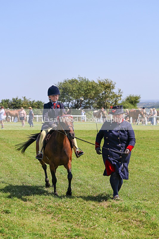 IMG_2224 - Class 37: Pure, Anglo & Part Bred Ridden Arab