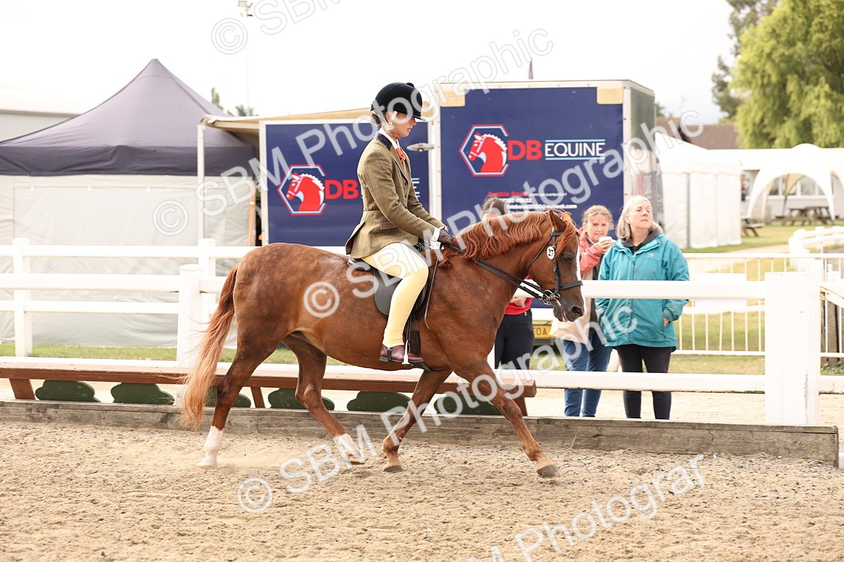 SBM_01595 - Class 52 - Ridden Veteran