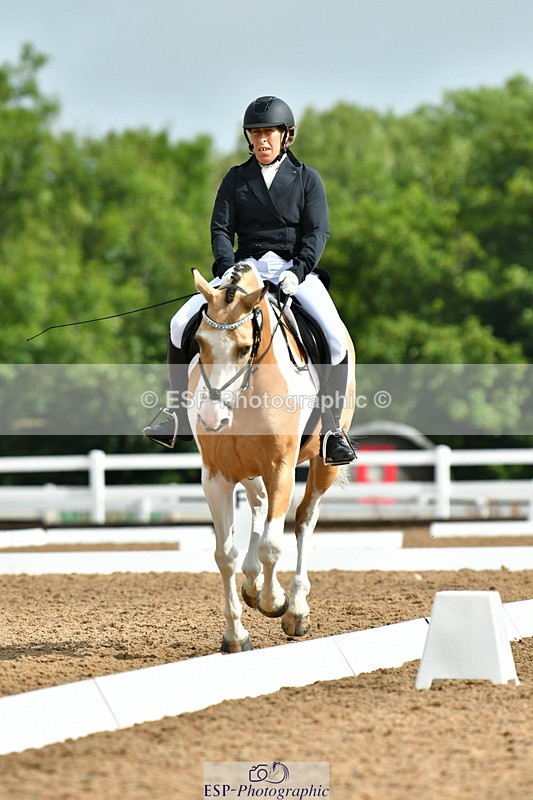 230708A-093834-02173 - Prelim 13