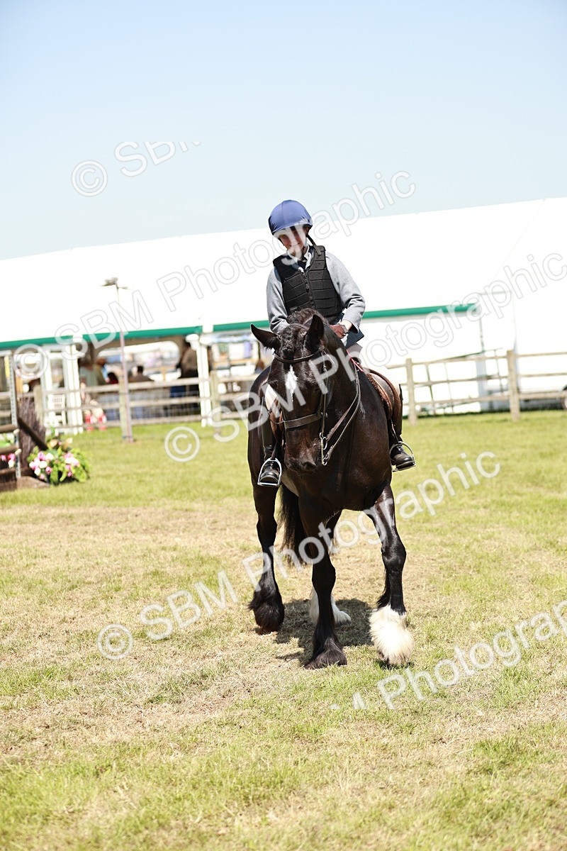 SBM_17368 - Class 110-111 - Training Stakes (70cms 80cms)