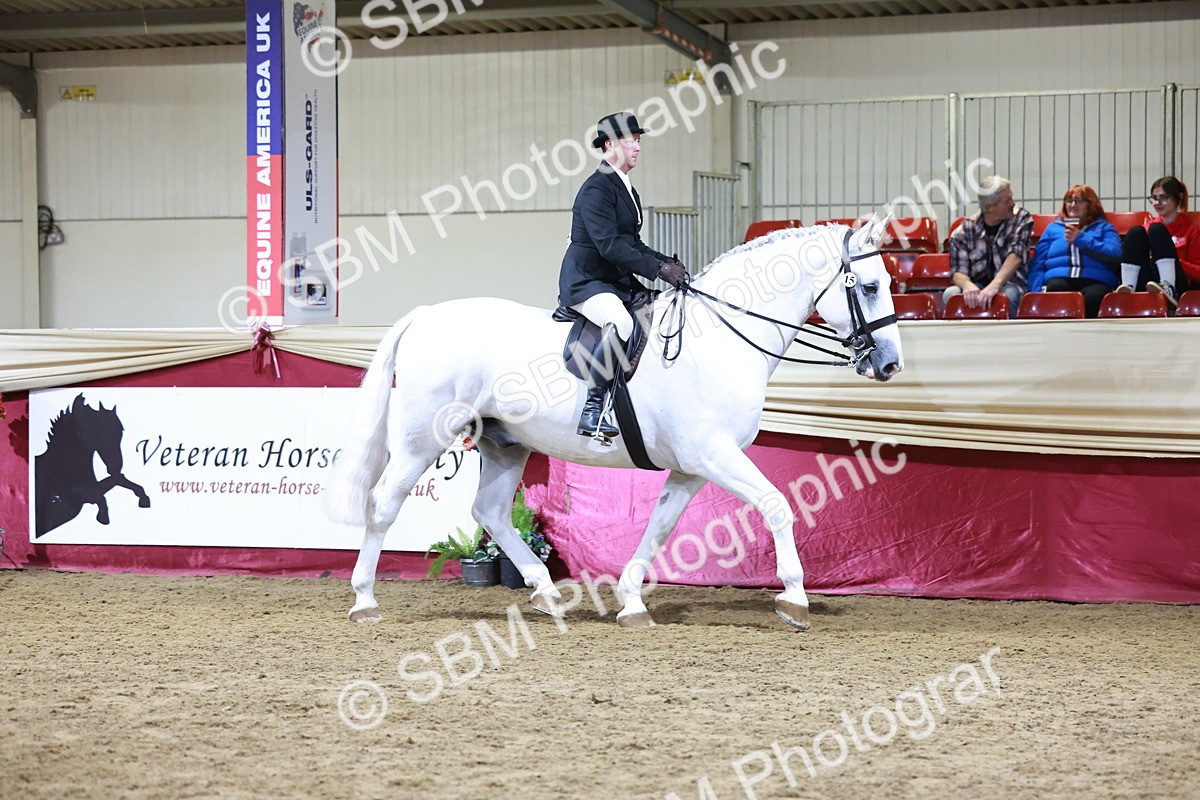 SBM_21126 - class Q - Ridden Horse Champ