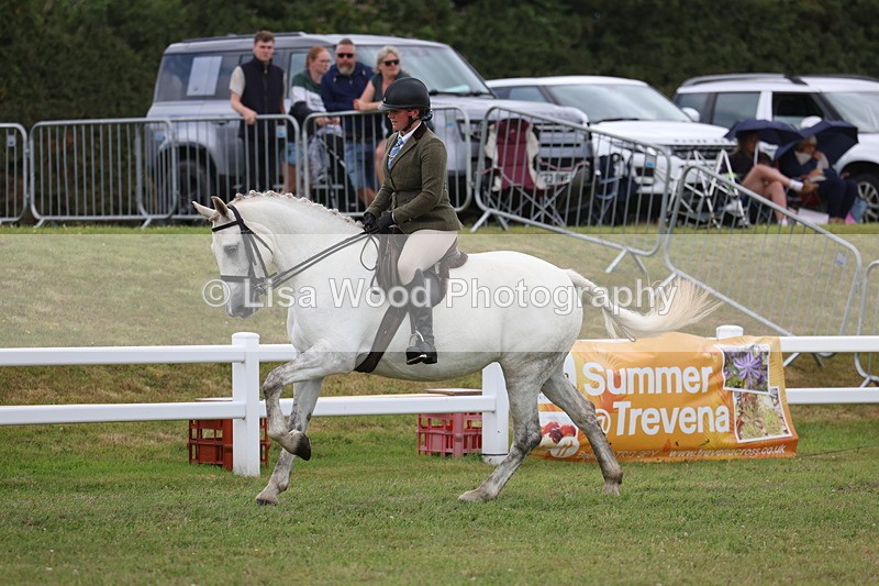 3E7A1462 - Class 9: Open Hunter