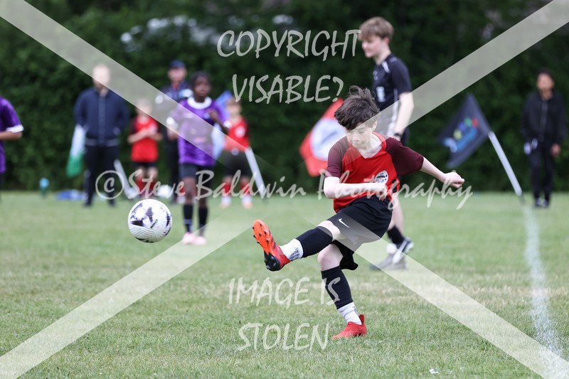 1DX31181 - Brook Field V Goddard Park