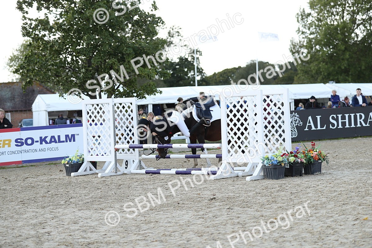 SBM_49505 - J22 - Junior Horse 65cm Championship