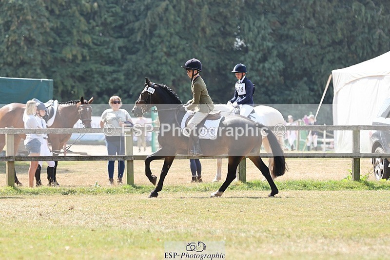 250823A-123333-29819 - Arena C