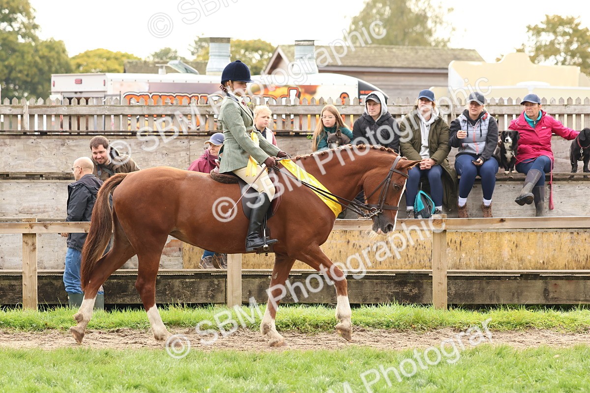 SBM_59743 - Start Supreme Championship