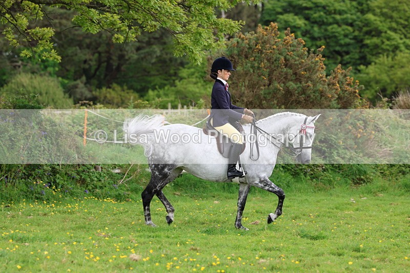 3E7A2065 - Class 11: Ridden Arab