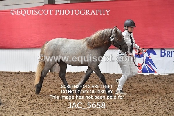 JAC_5658 - 6 Glenmuir Niamh
