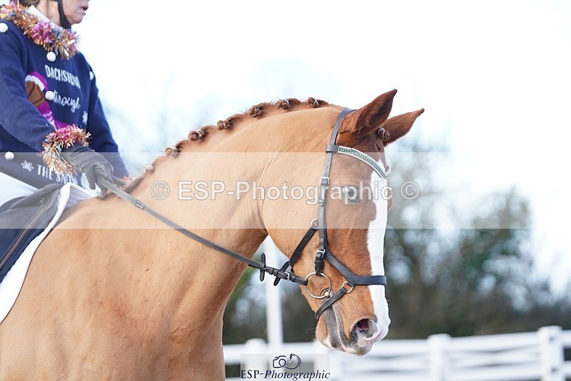 241214-132224-00605 - 134-Melanie.Haslock-Minnie.I