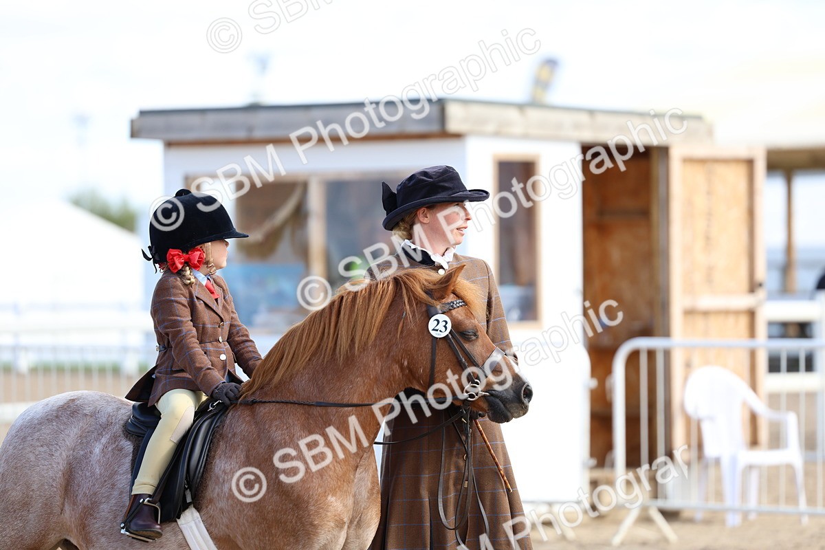 SBM_13108 - Class 309 - Lead Rein Pony