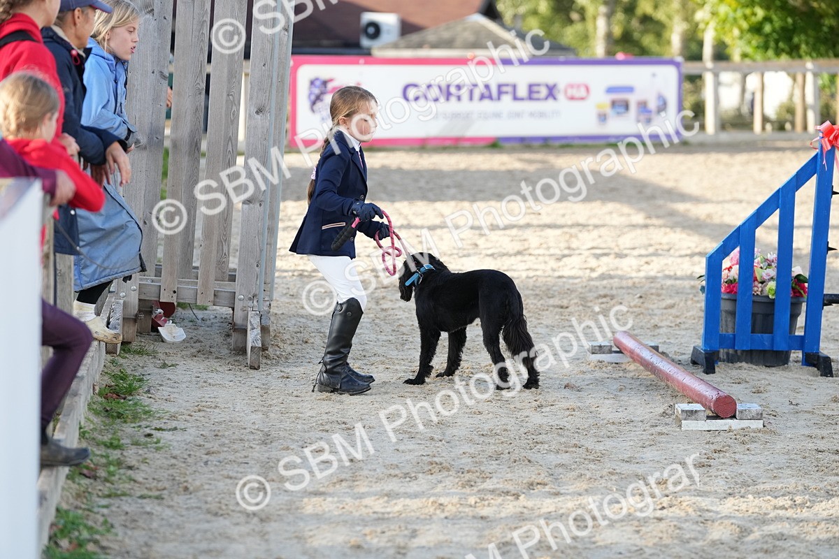 SBM_29383 - J44 - Horse & Hound Open 70cm