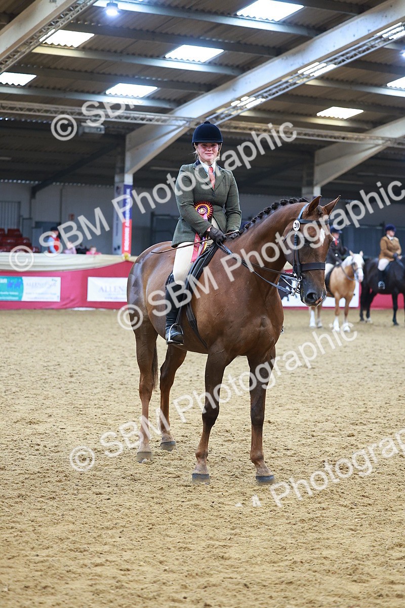 SBM_09859 - Class 102 - HOYS Veteran Qualifier - Ridden Veteran