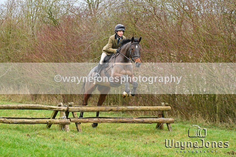 WJ5_5132 - Edited examples