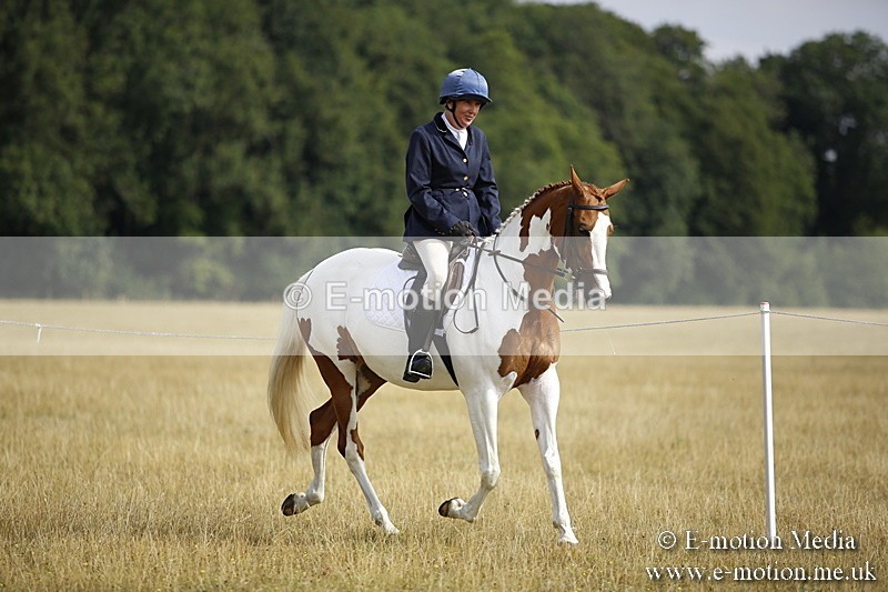 _C7A9268 - BVRC Show 2018 Ring 1