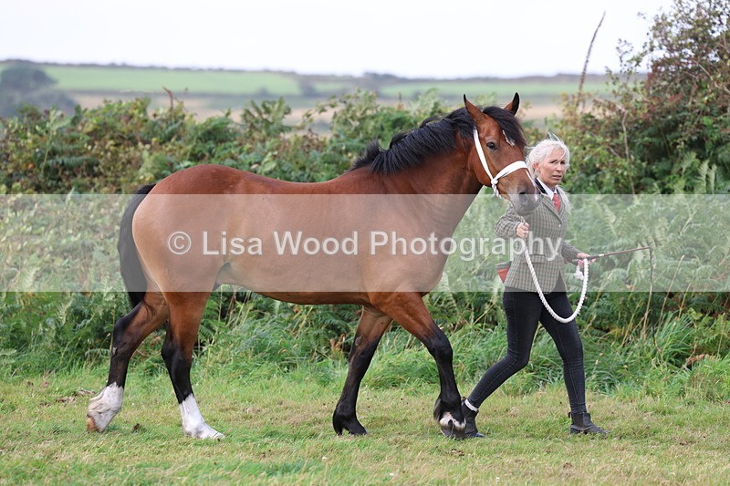 3E7A4009 - Class 15: Two Year Olds