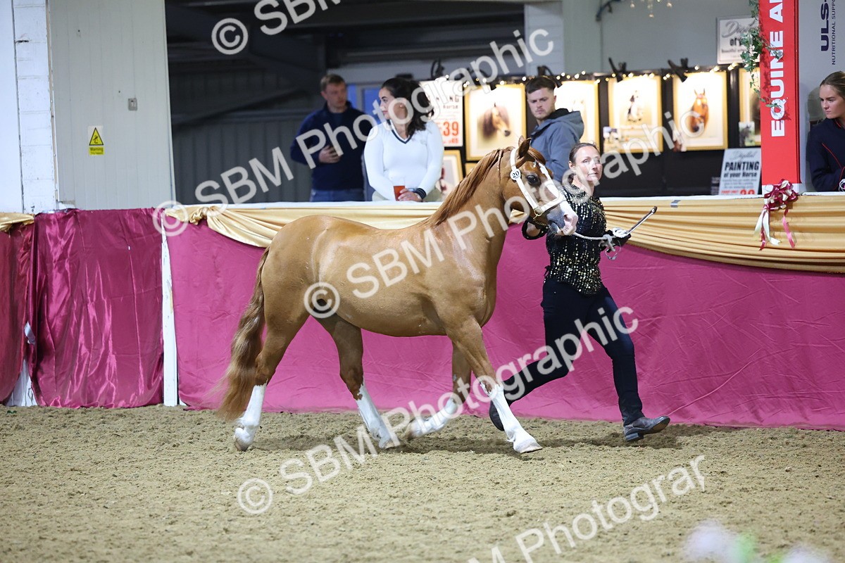 0B8A4400 - Class N M&M Champ