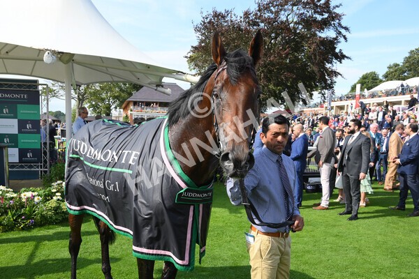 yr18082021r4-166 - Race 4 3.35pm Juddmonte International Stakes (British Champion Series race)