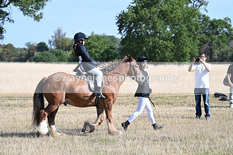 WJ7_2996 - Class 8 Ridden Tack & Turnout