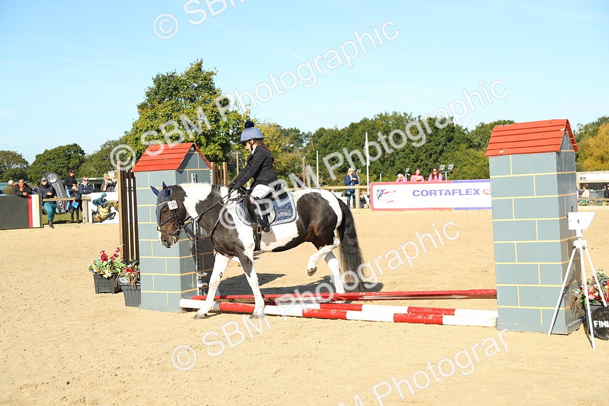SBM_35892 - J5 - Junior Pony 50cm Championship